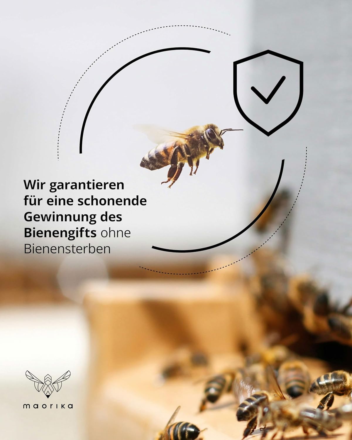 Bienengiftcreme hochdosiert mit Manukaöl (Kühlend & beruhigend)